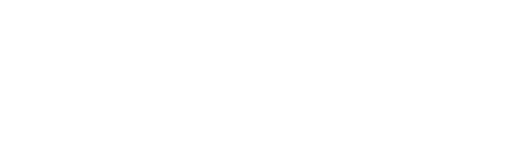 Best Delivery srl